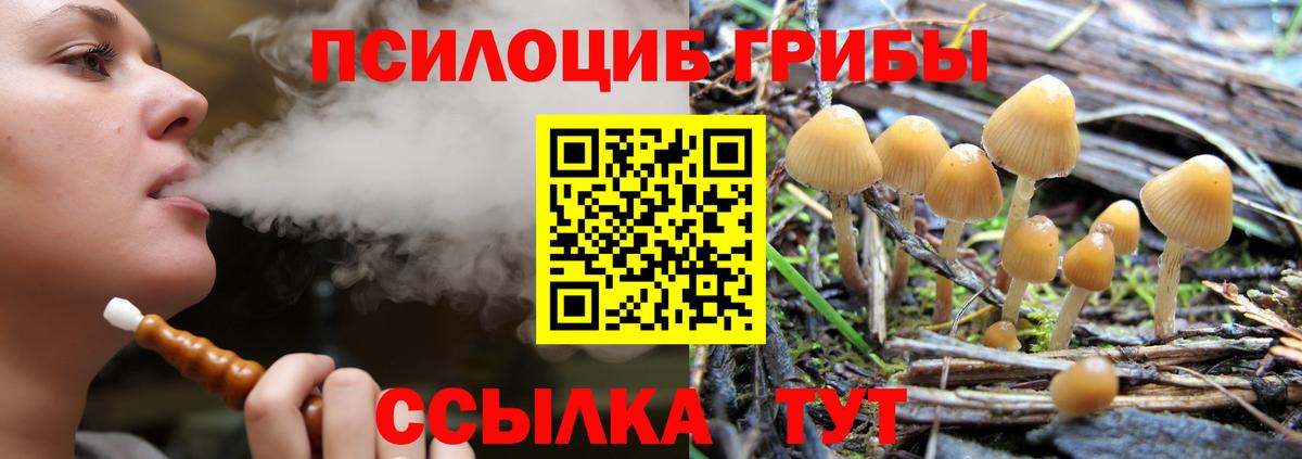 Псилоцибиновые грибы мицелий Мурманск