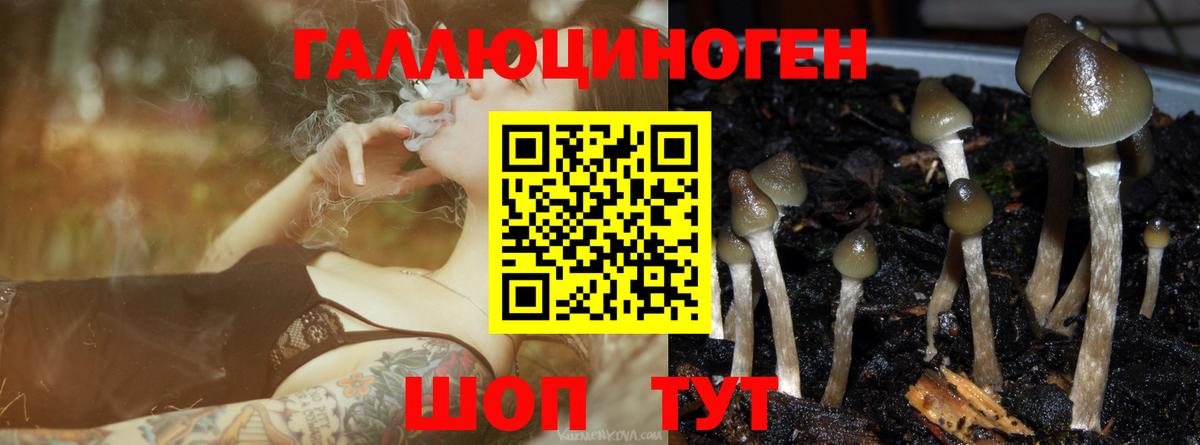 Псилоцибиновые грибы Magic Shrooms  где можно купить   Мурманск  Вход с VPN 